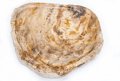 Ladica Fossil Wood smeđa