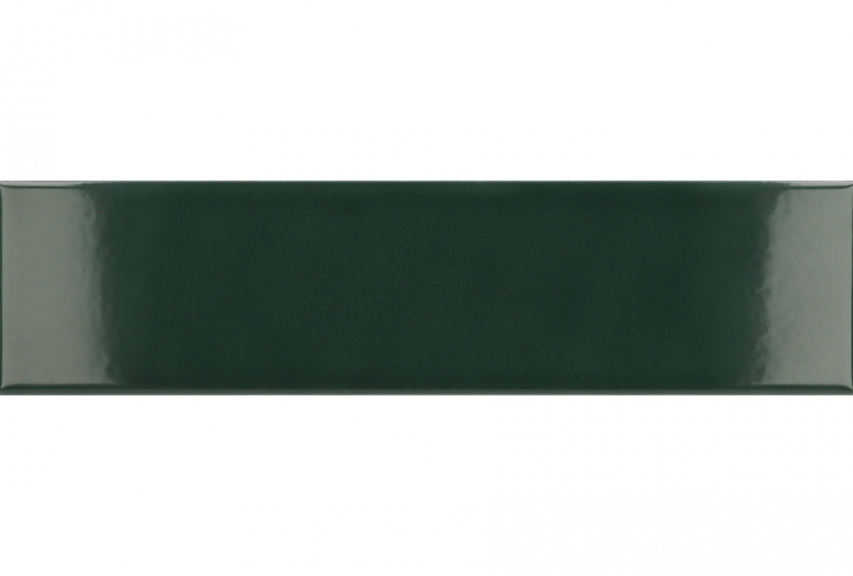 Costa Nova Laurel Green Gloss 5x20