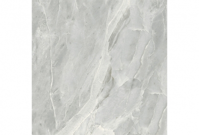 Silver Roots Grey Gloss 60x60 R
