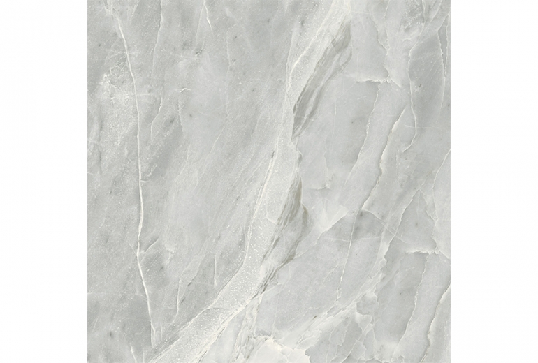 Silver Roots Grey Gloss 60x60 R